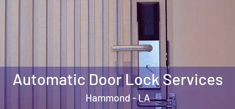 Automatic Door Lock Services Hammond - LA