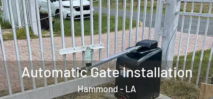 Automatic Gate Installation Hammond - LA