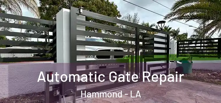 Automatic Gate Repair Hammond - LA