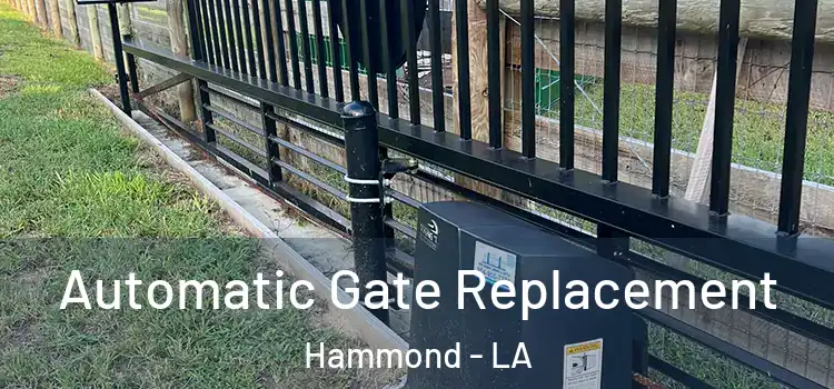 Automatic Gate Replacement Hammond - LA