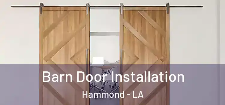  Barn Door Installation Hammond - LA