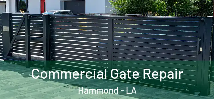  Commercial Gate Repair Hammond - LA