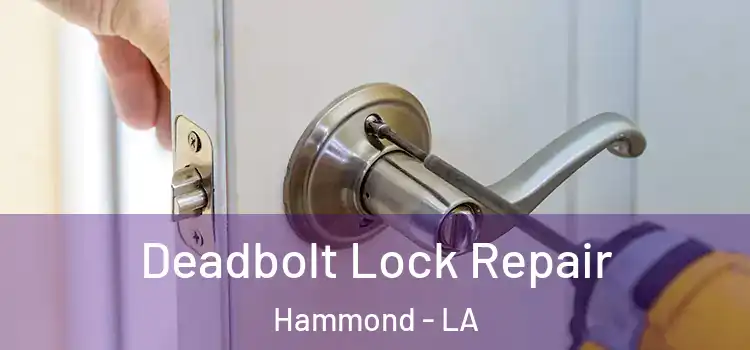  Deadbolt Lock Repair Hammond - LA