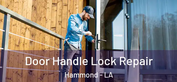  Door Handle Lock Repair Hammond - LA