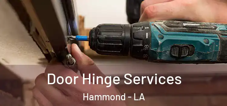 Door Hinge Services Hammond - LA