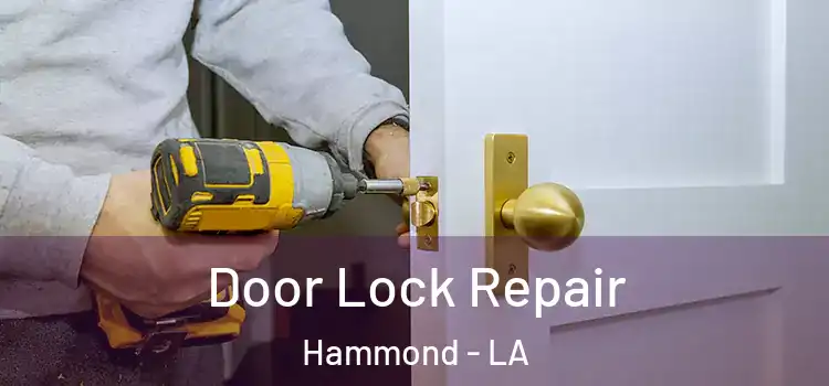  Door Lock Repair Hammond - LA