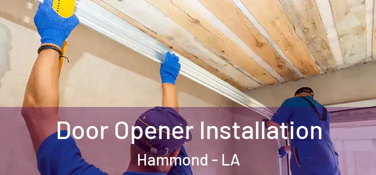 Door Opener Installation Hammond - LA