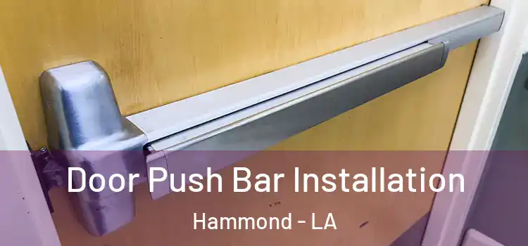  Door Push Bar Installation Hammond - LA