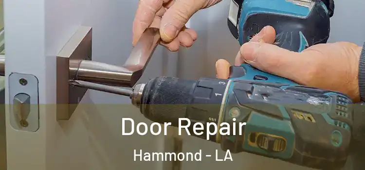  Door Repair Hammond - LA