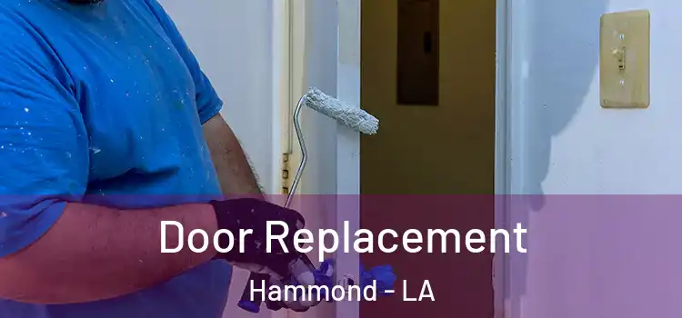  Door Replacement Hammond - LA