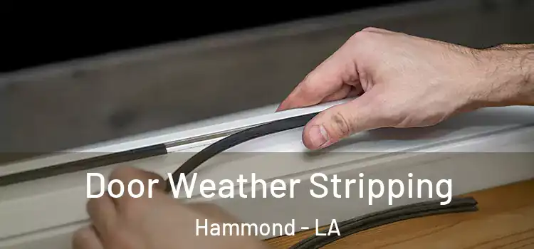  Door Weather Stripping Hammond - LA