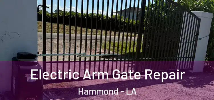 Electric Arm Gate Repair Hammond - LA