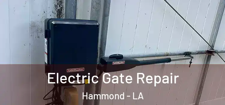  Electric Gate Repair Hammond - LA
