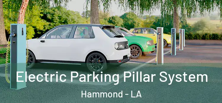  Electric Parking Pillar System Hammond - LA