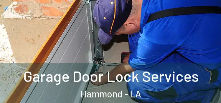  Garage Door Lock Services Hammond - LA