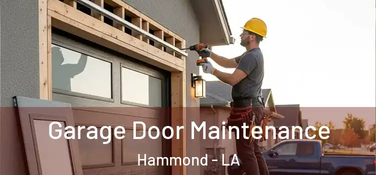  Garage Door Maintenance Hammond - LA