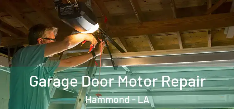  Garage Door Motor Repair Hammond - LA