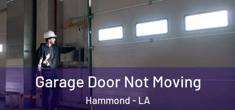  Garage Door Not Moving Hammond - LA
