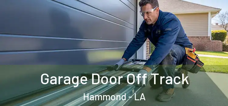 Garage Door Off Track Hammond - LA