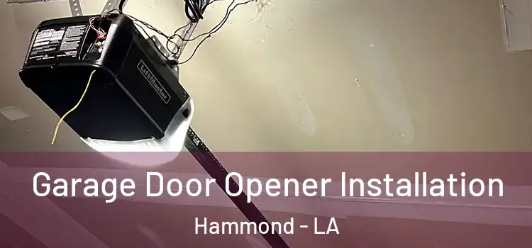  Garage Door Opener Installation Hammond - LA