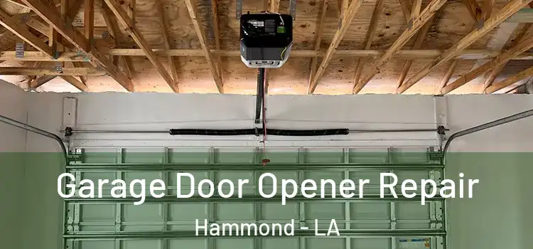  Garage Door Opener Repair Hammond - LA