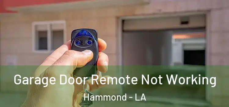  Garage Door Remote Not Working Hammond - LA
