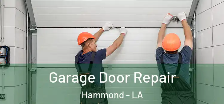  Garage Door Repair Hammond - LA