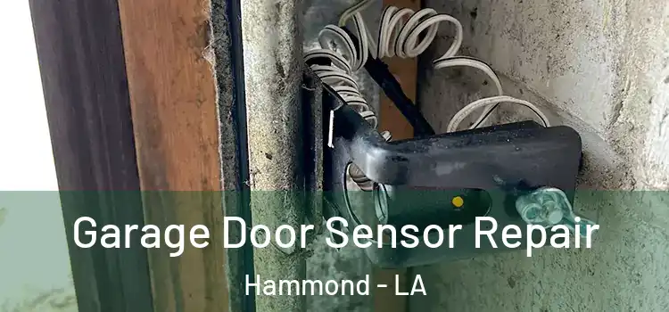  Garage Door Sensor Repair Hammond - LA