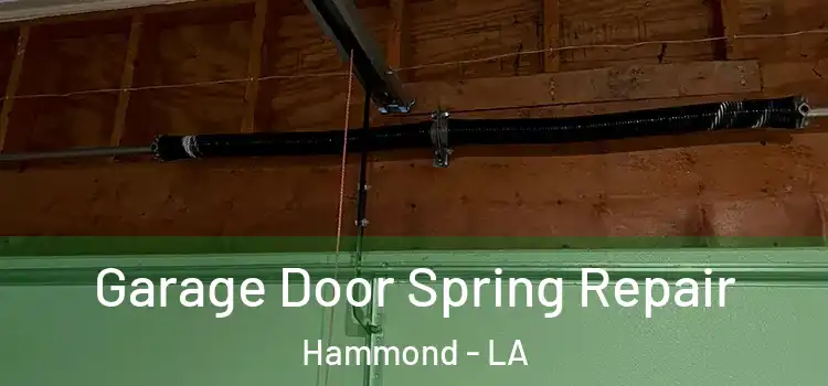  Garage Door Spring Repair Hammond - LA