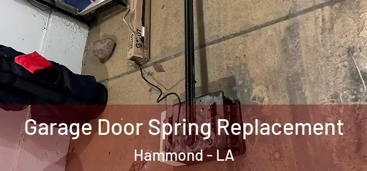  Garage Door Spring Replacement Hammond - LA