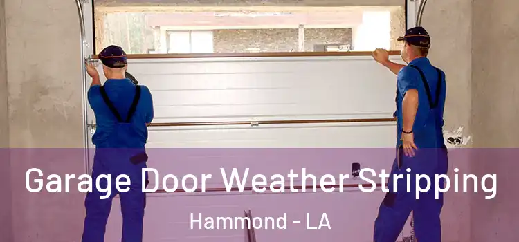  Garage Door Weather Stripping Hammond - LA