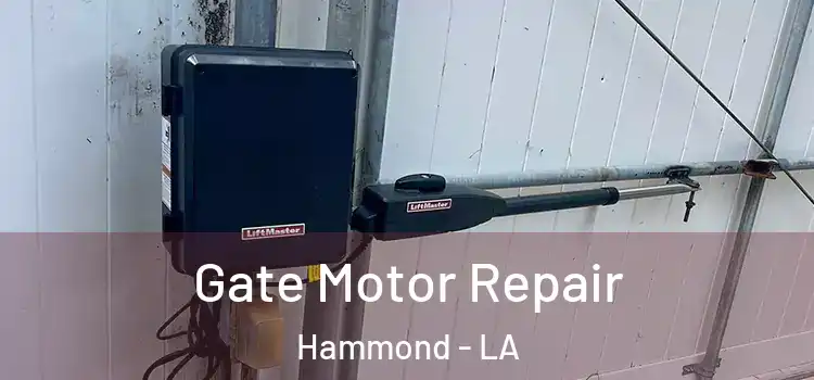  Gate Motor Repair Hammond - LA