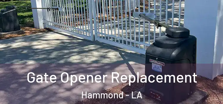 Gate Opener Replacement Hammond - LA
