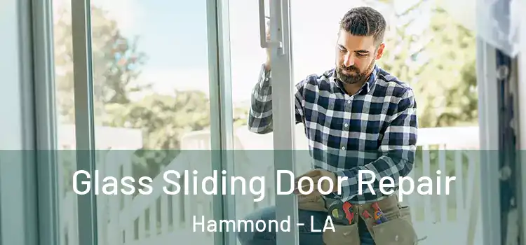  Glass Sliding Door Repair Hammond - LA