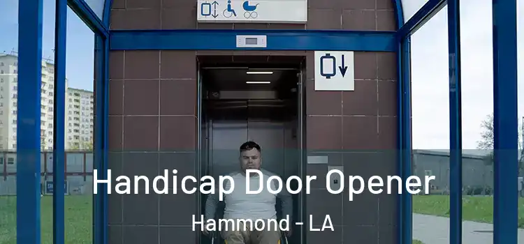  Handicap Door Opener Hammond - LA