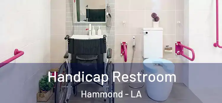  Handicap Restroom Hammond - LA