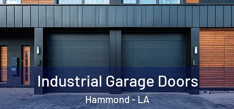  Industrial Garage Doors Hammond - LA
