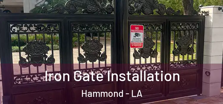  Iron Gate Installation Hammond - LA