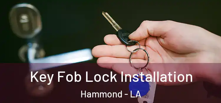  Key Fob Lock Installation Hammond - LA