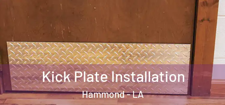 Kick Plate Installation Hammond - LA
