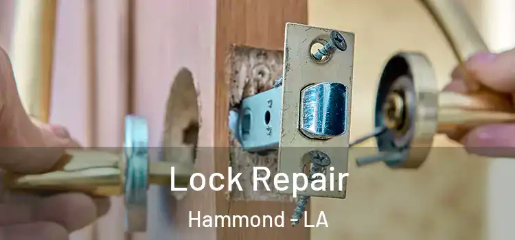  Lock Repair Hammond - LA