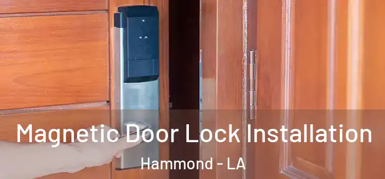  Magnetic Door Lock Installation Hammond - LA