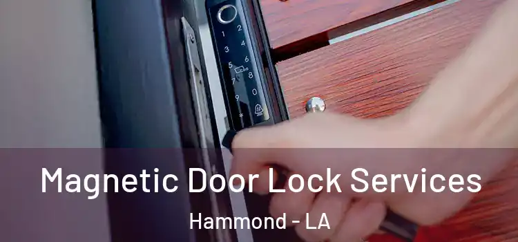  Magnetic Door Lock Services Hammond - LA