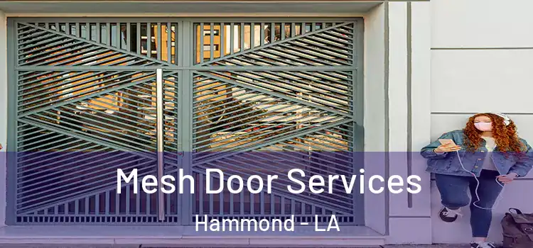  Mesh Door Services Hammond - LA