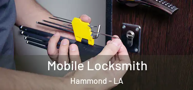 Mobile Locksmith Hammond - LA