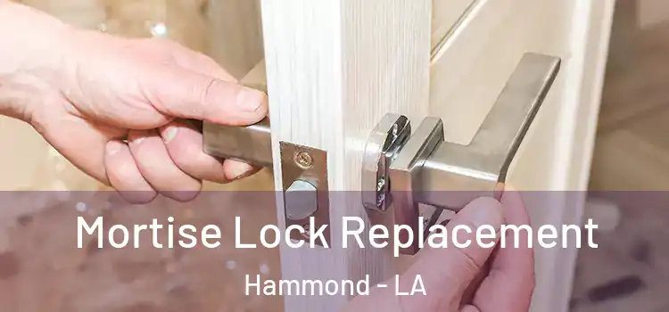 Mortise Lock Replacement Hammond - LA