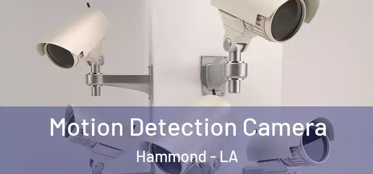  Motion Detection Camera Hammond - LA