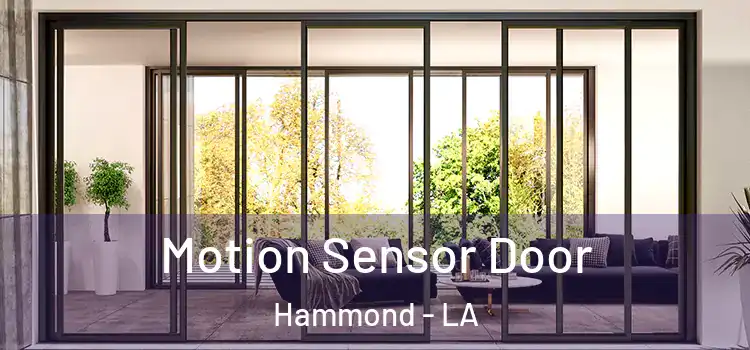  Motion Sensor Door Hammond - LA