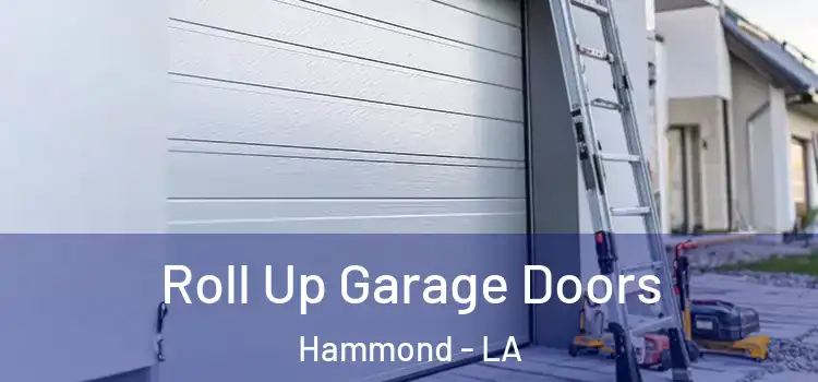  Roll Up Garage Doors Hammond - LA