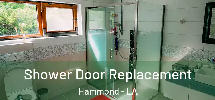 Shower Door Replacement Hammond - LA